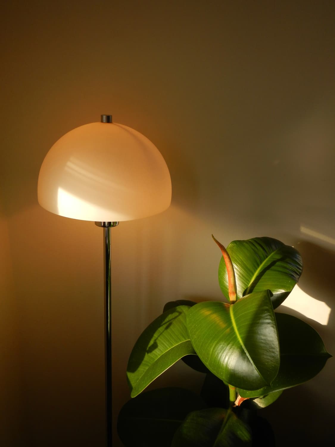 nikon coolpix aw100 (LCD하자) 상품이미지5