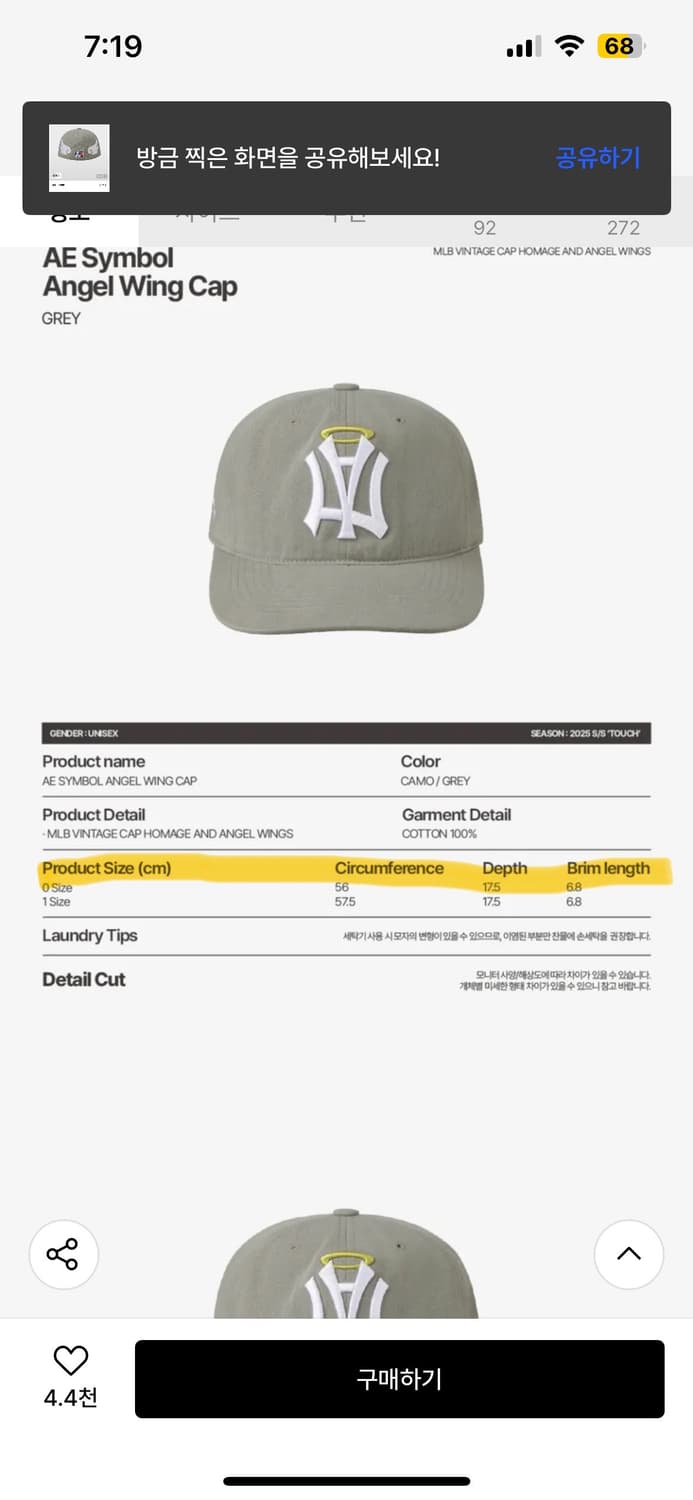 에이이에이이 엔젤윙 볼캡 그레이 상품이미지3