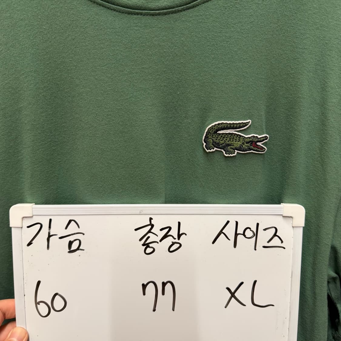 라코스테 반팔 XL 상품이미지2
