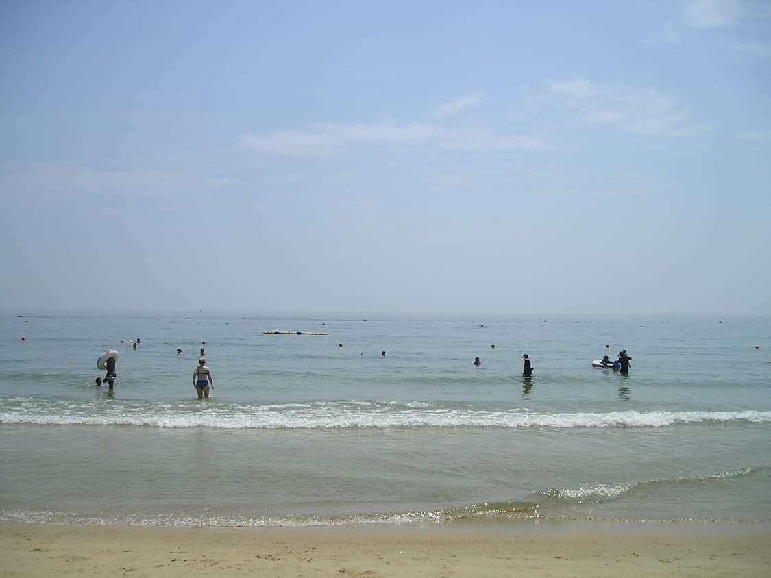 올림푸스 c-350  상품이미지5