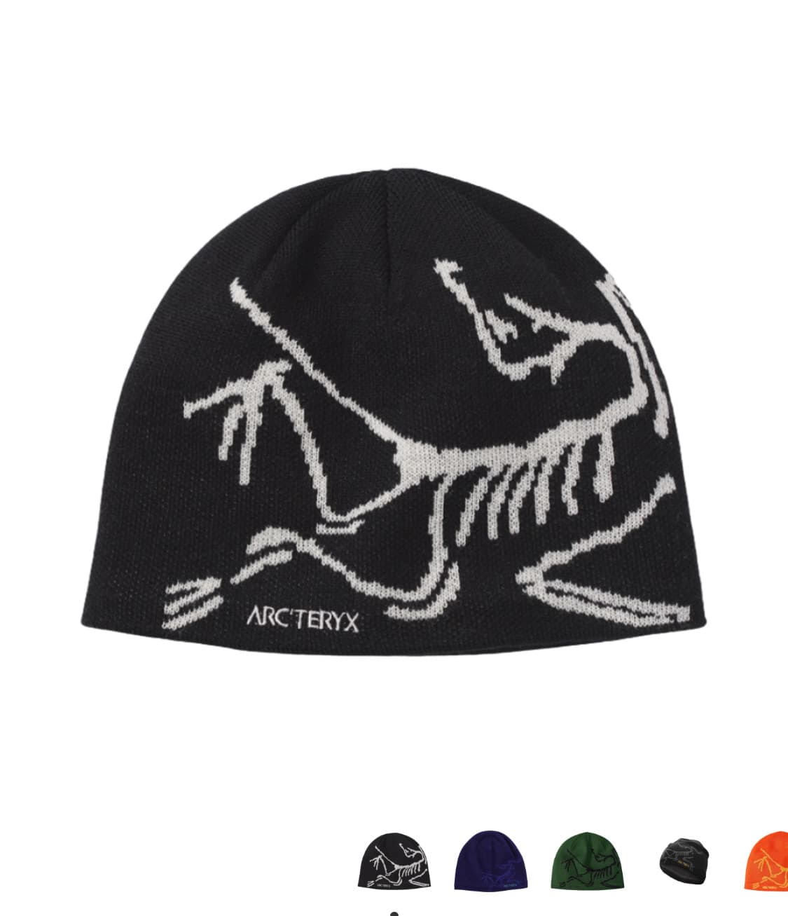 아크테릭스 비니 상품이미지1