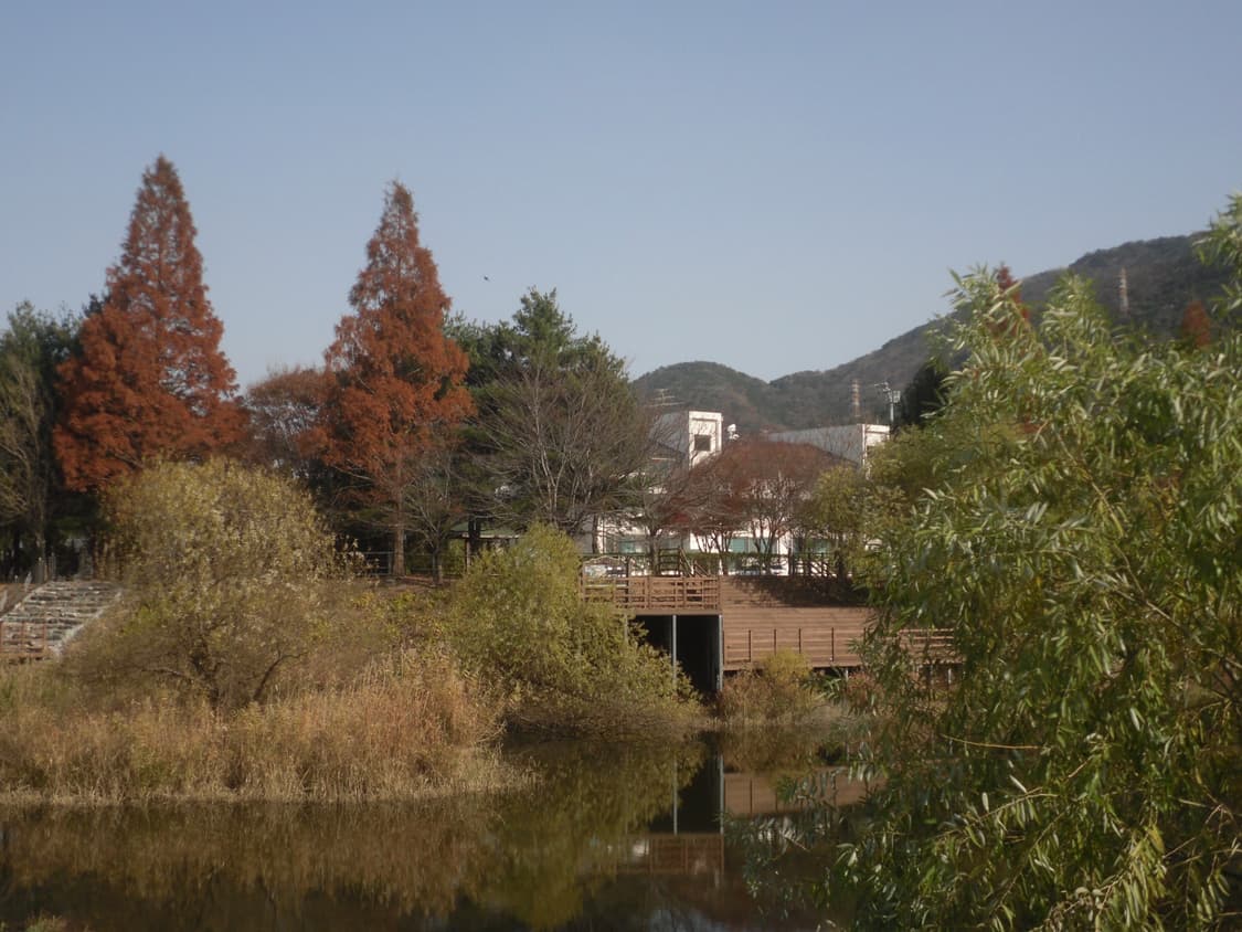 (작례O)삼성 VLUU PL65 상품이미지6