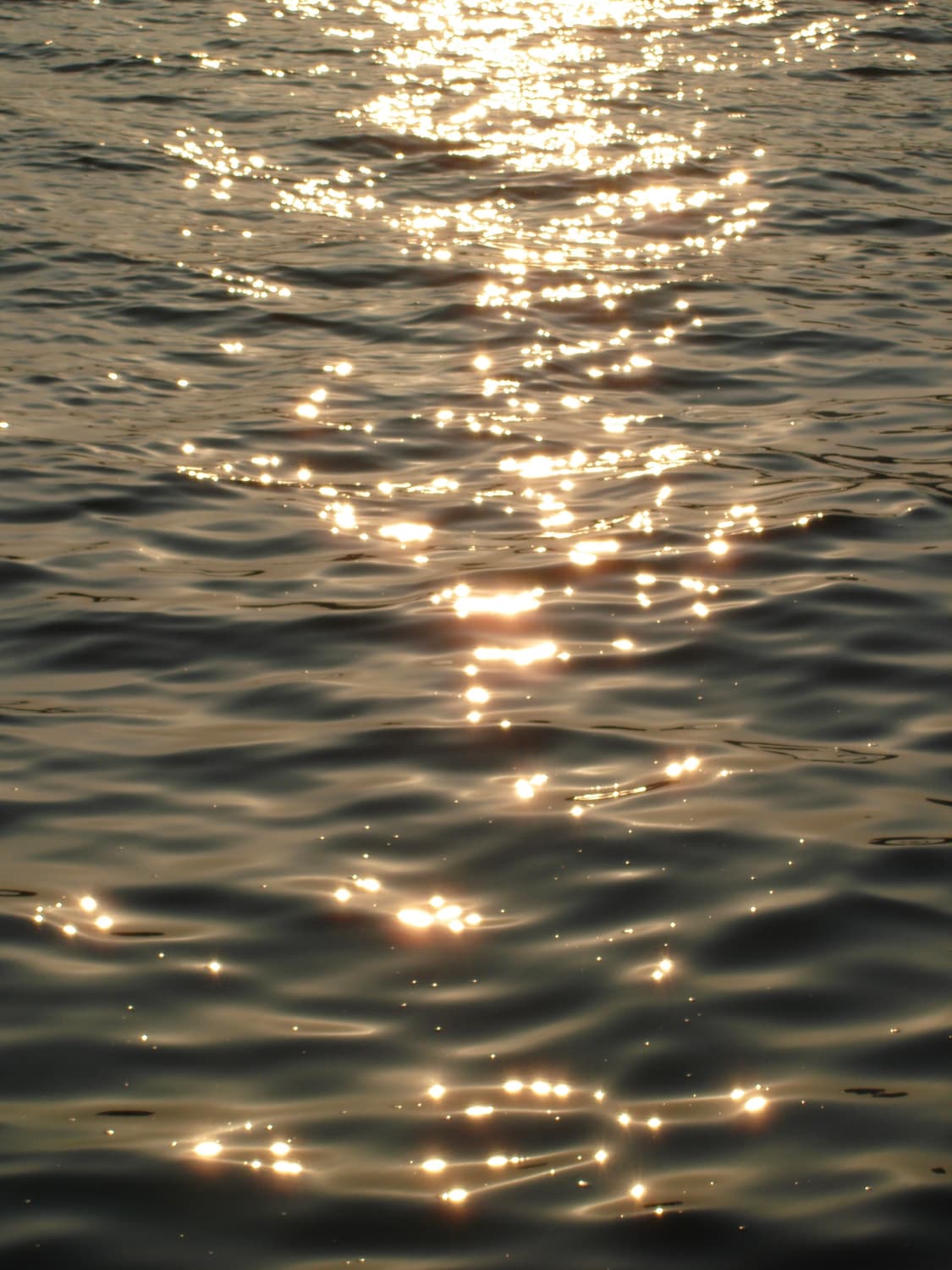 입문&강추!) Sony Cyber-shot HX5 디카 카메라 상품이미지2