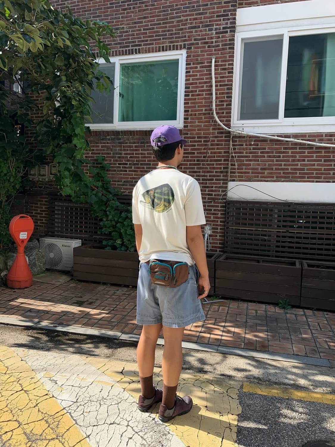 Patagonia fish noggins organic cotton te 상품이미지10