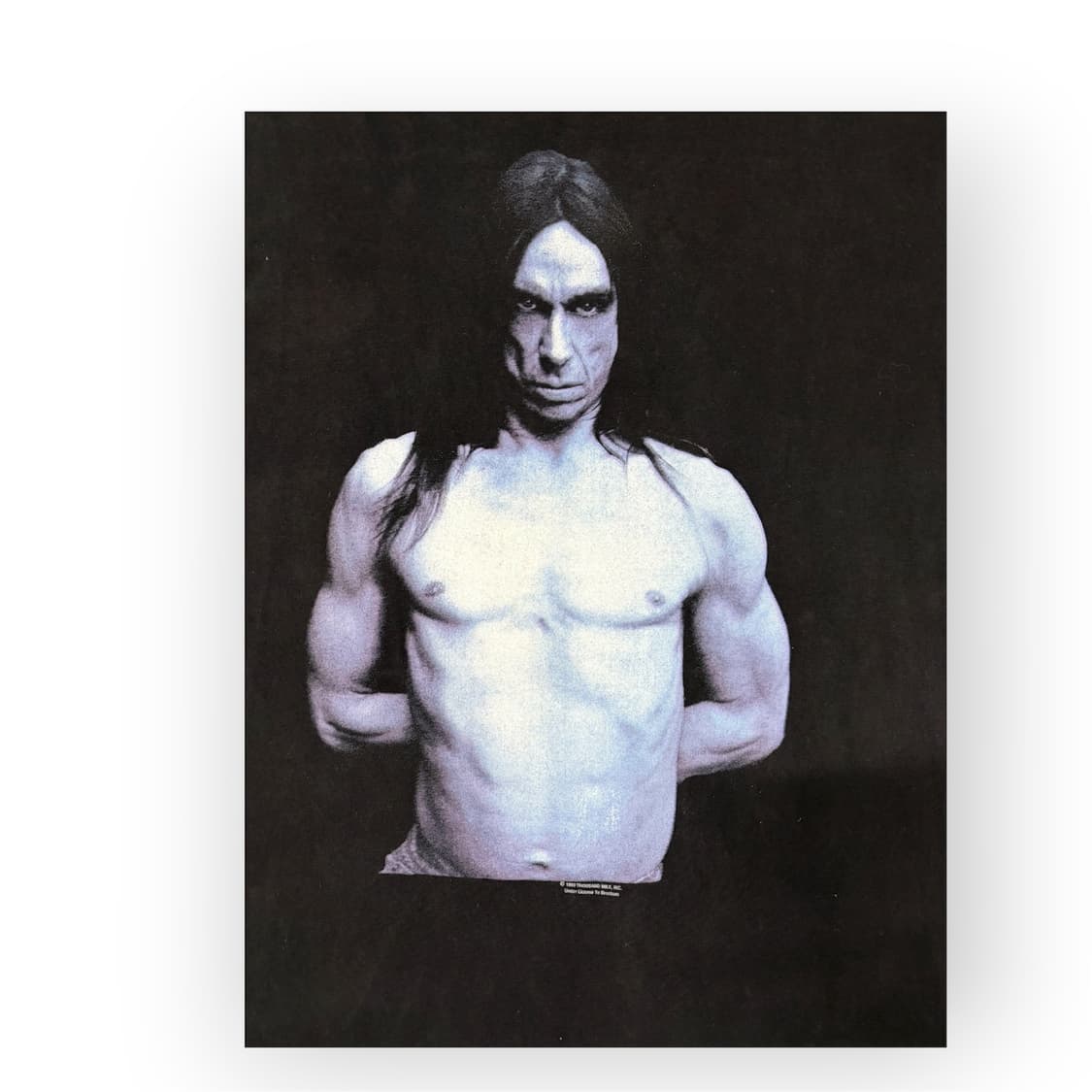 Iggy pop 1993 상품이미지2