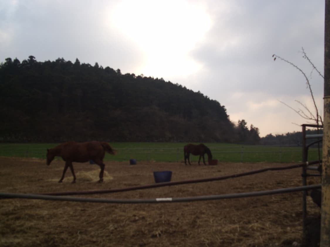 올림푸스 카메디아 c-160 상품이미지4