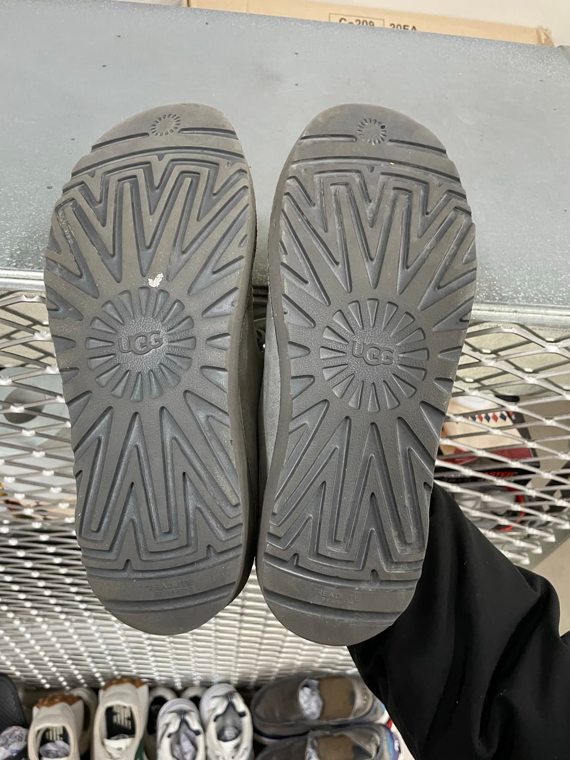 어그 캄포 레이스 로우 260 상품이미지6