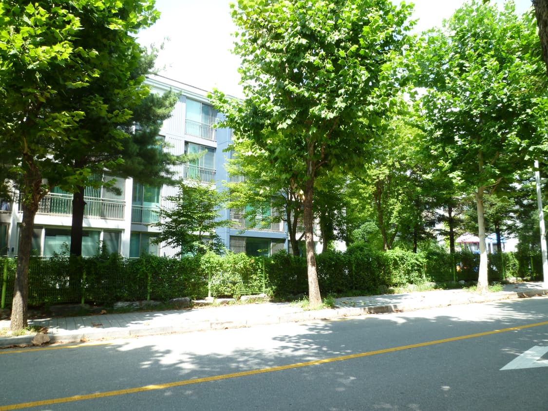캐논 파워샷 핑크 A2600 / 초희귀🩷 상품이미지7