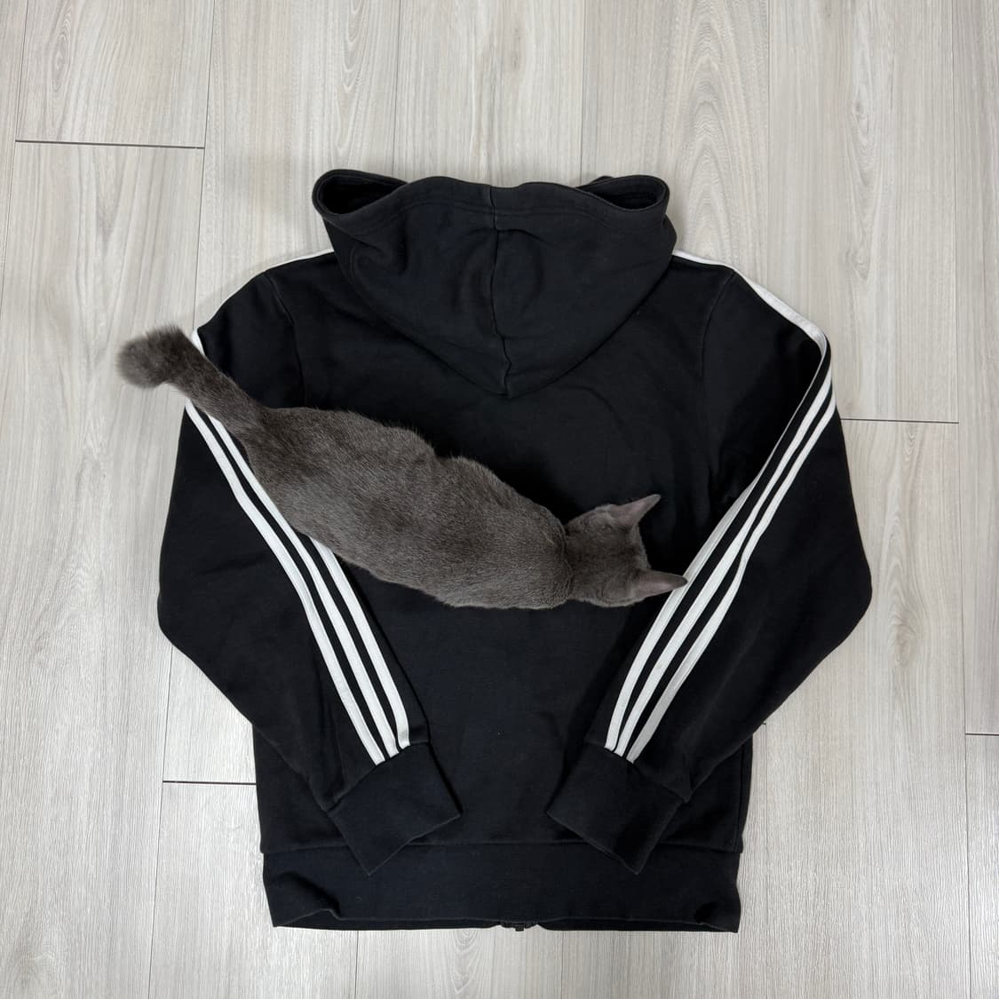 아디다스 후드집업 상품이미지4