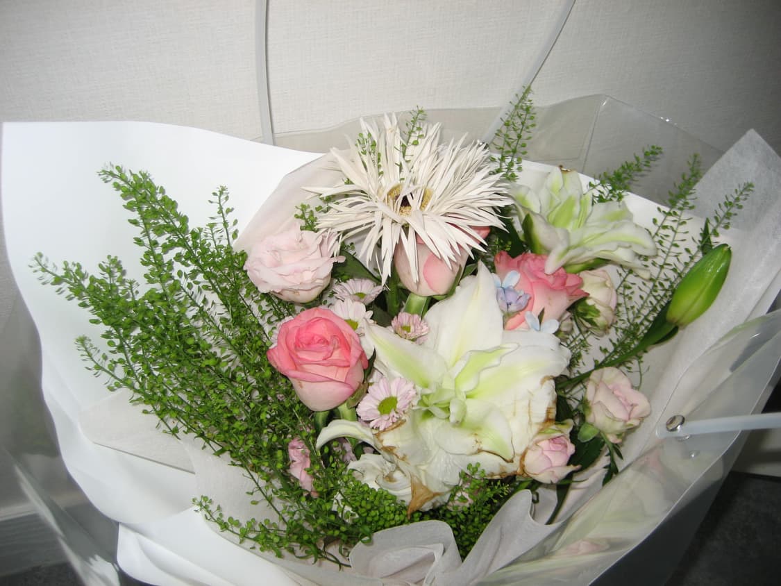 캐논 익서스 IXUS 65 상품이미지7
