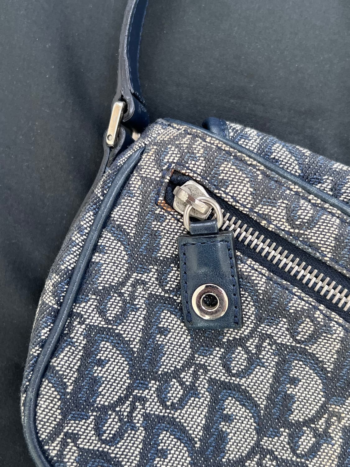 디올 오블리크 D참 바게트백 상품이미지5