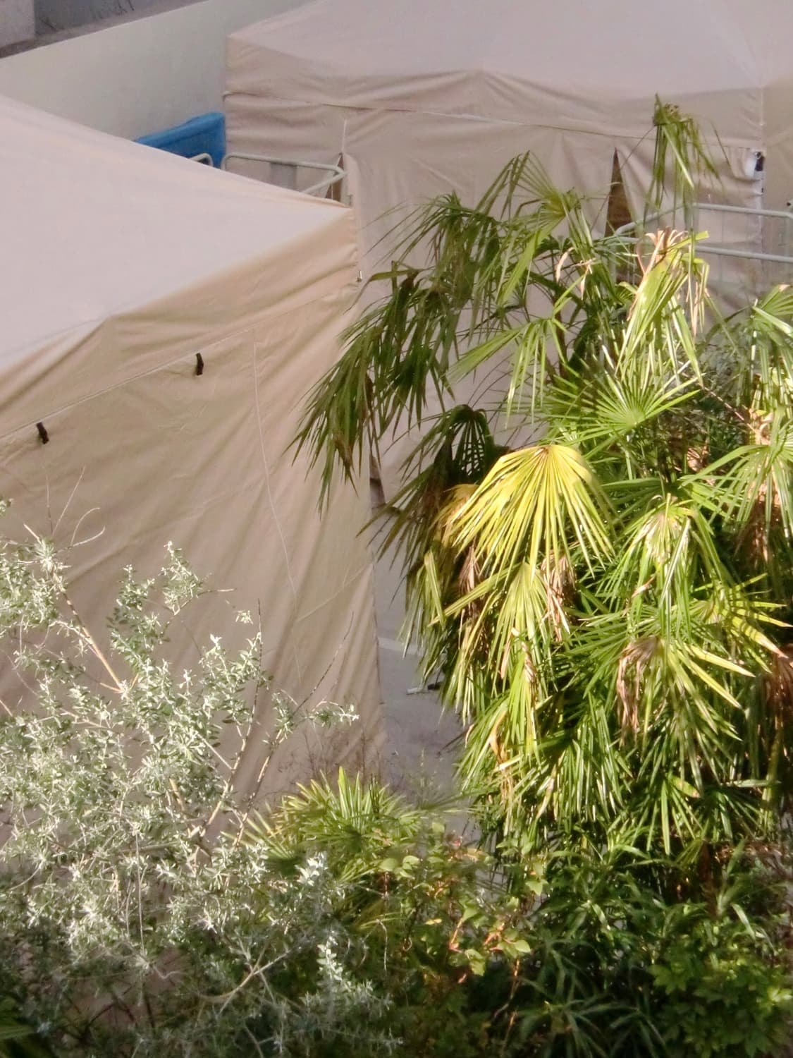 [민트급] 카시오 엑슬림 z90 민트 / 디지털카메라 빈티지디카 상품이미지10