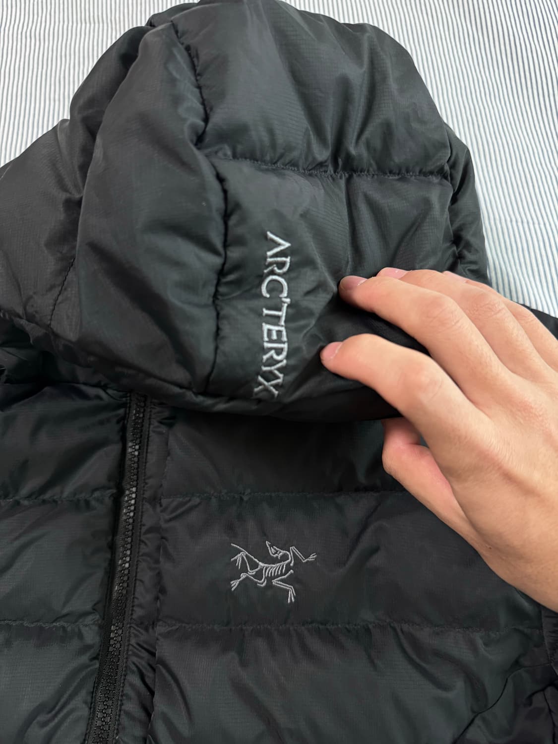 아크테릭스 토륨 후디 블랙  상품이미지4