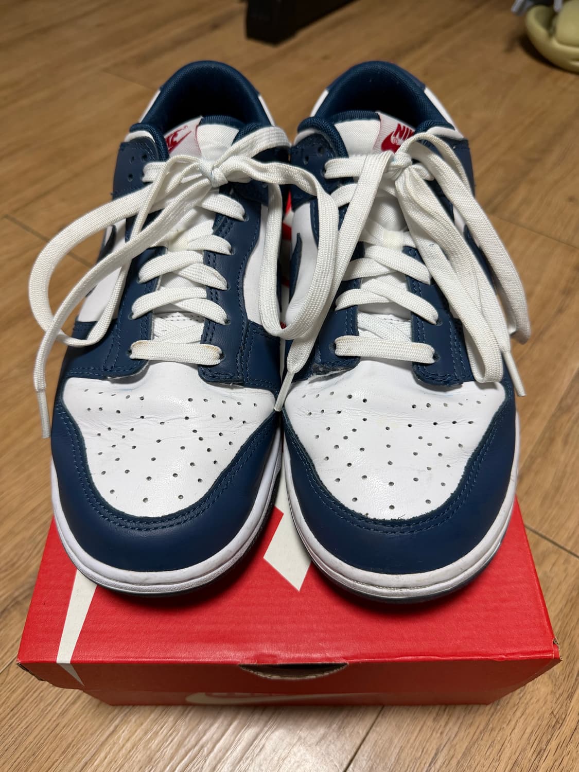 나이키 덩크 로우 발레리안 블루 270 상품이미지2