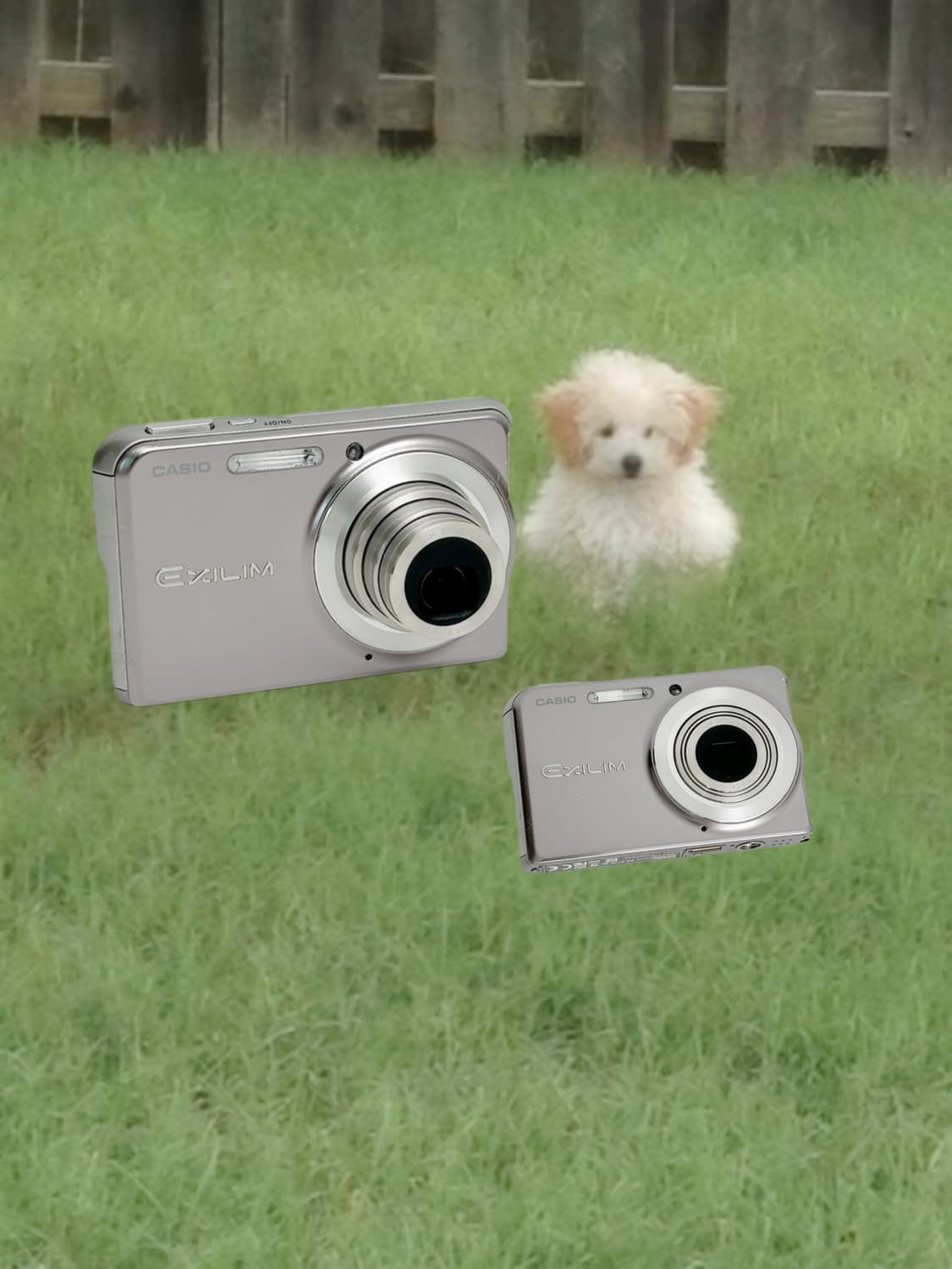 굿컨디션!) 카시오 익슬림 ex-s770 Casio Exilim 상품이미지1