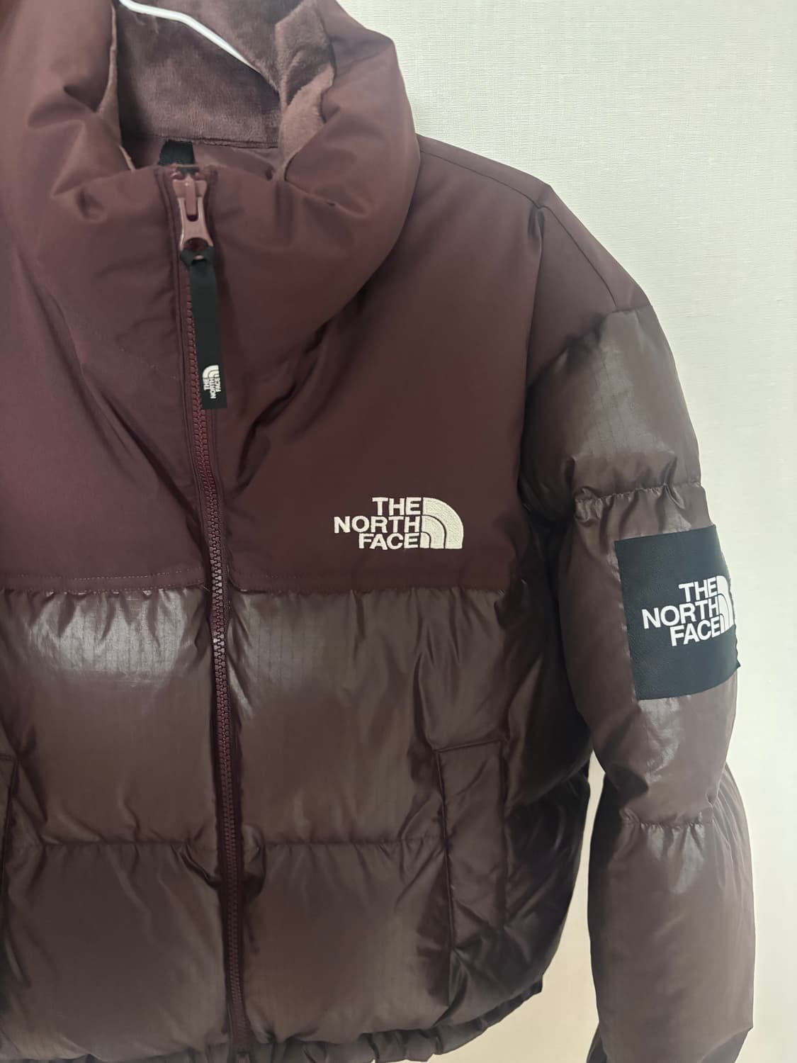 노페 눕시 코코아브라운 S!! 상품이미지3