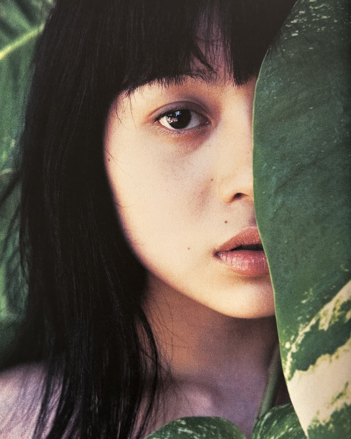 시노야마 기신 - Gekisha In Hawaii (1998) 상품이미지5