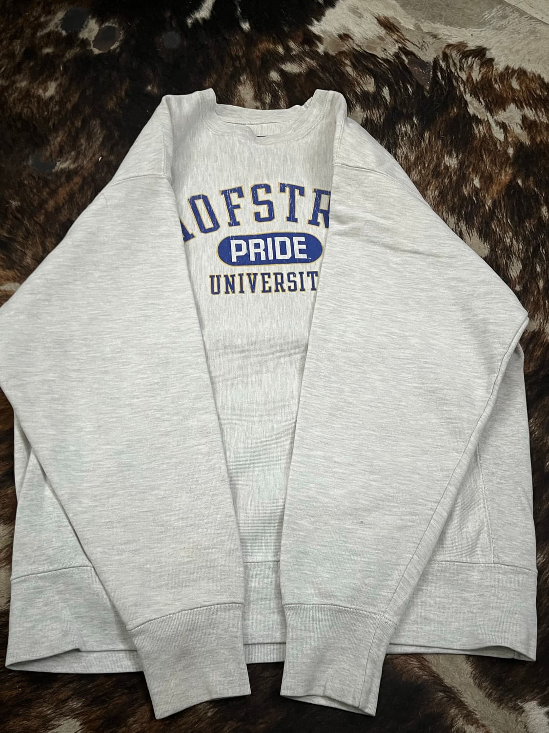 CHAMPION REVERS WEAVE SWEAT SHIRT 상품이미지3