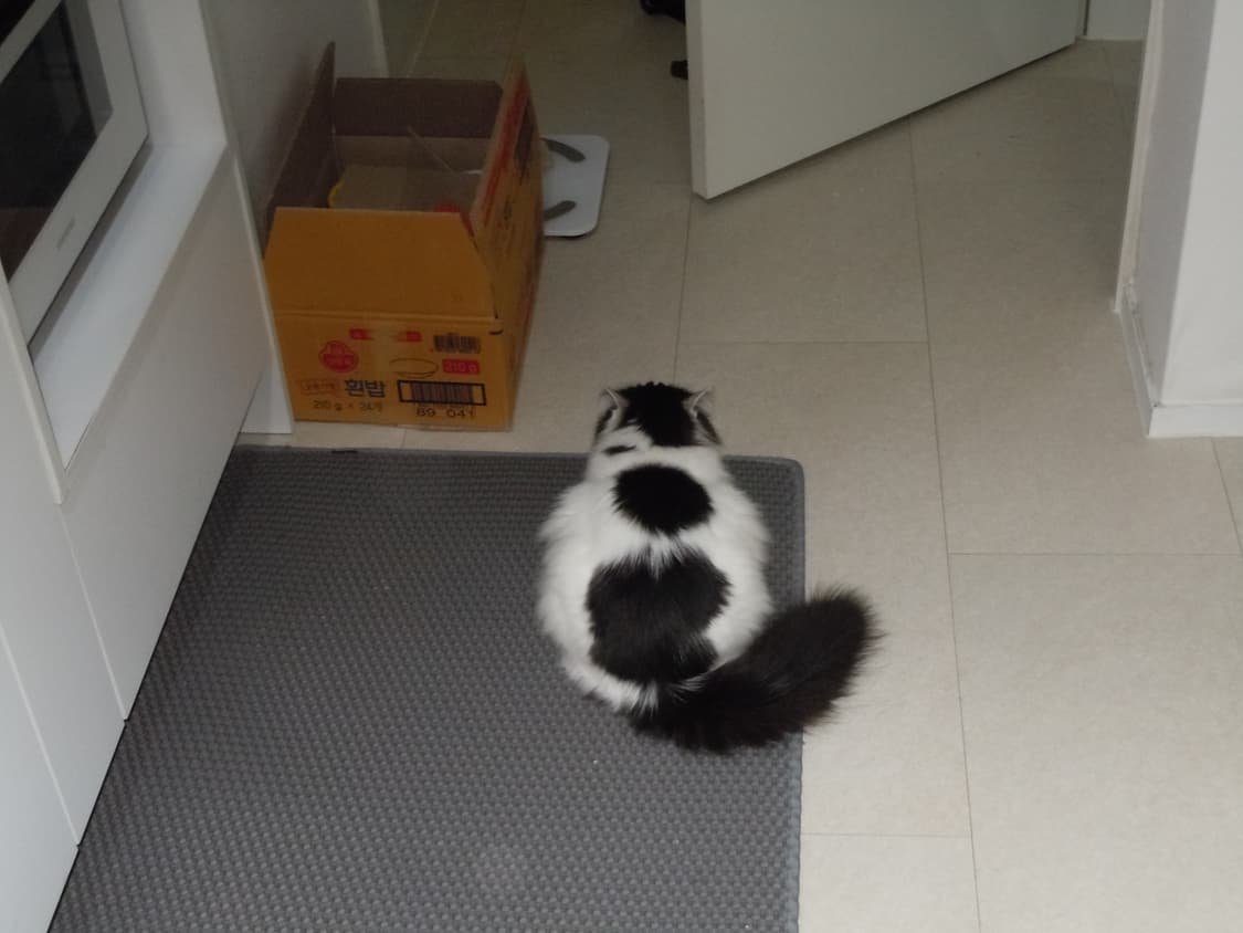 Nikon coolpix s6000 상품이미지7