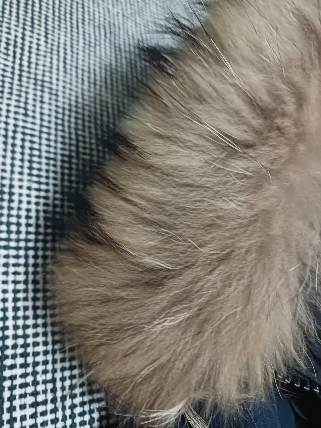 몽클레르(Moncler) 네이비 퍼 트리밍 파카 상품이미지8