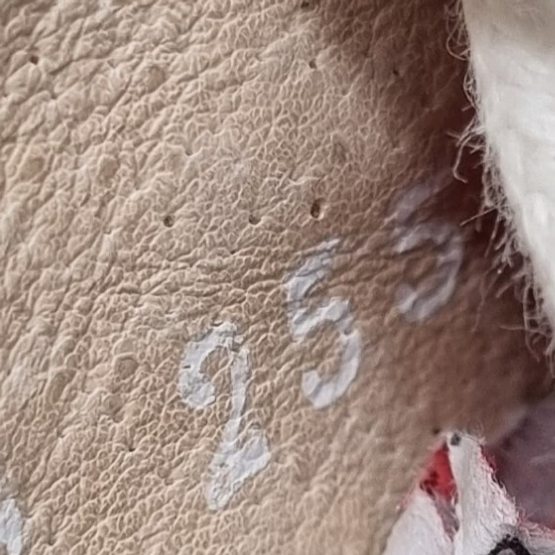 스펠로 남성가죽스니커즈 255 상품이미지6