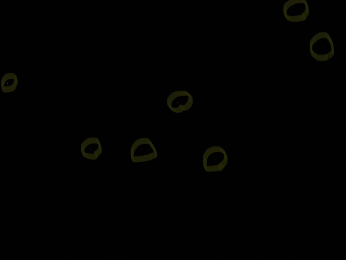 (설명참고) 펜탁스 옵티오 W10 디지털카메라 디카 상품이미지7