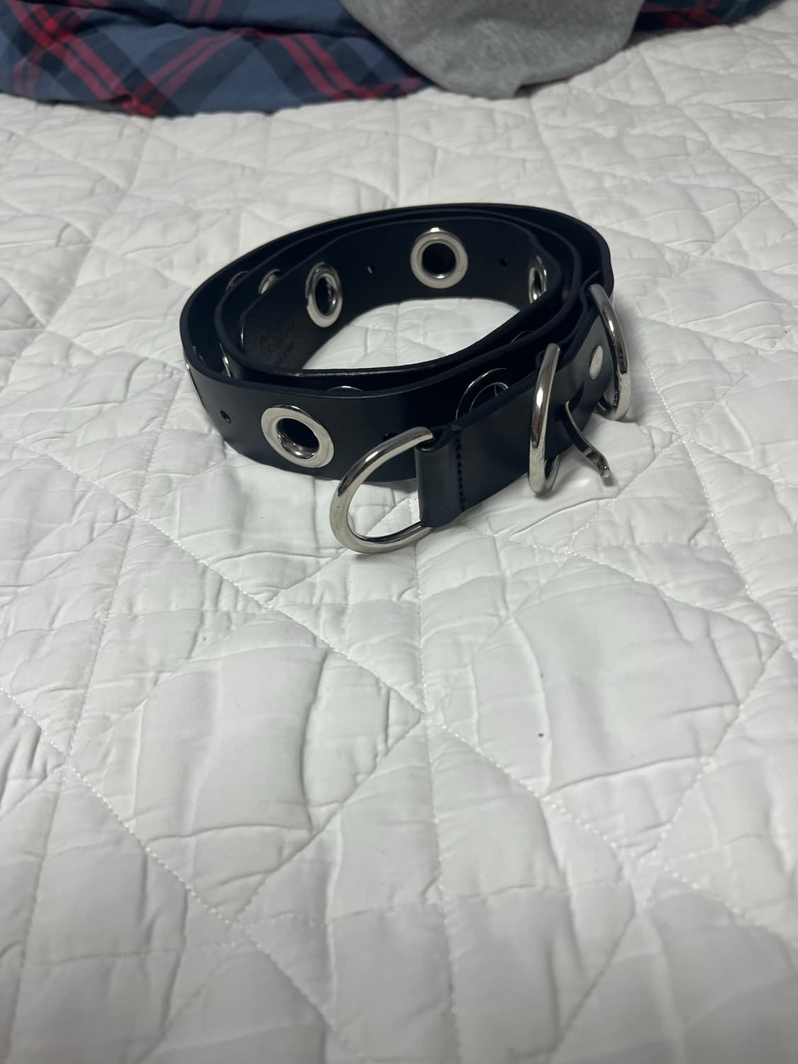 032c 아일렛 벨트 상품이미지2