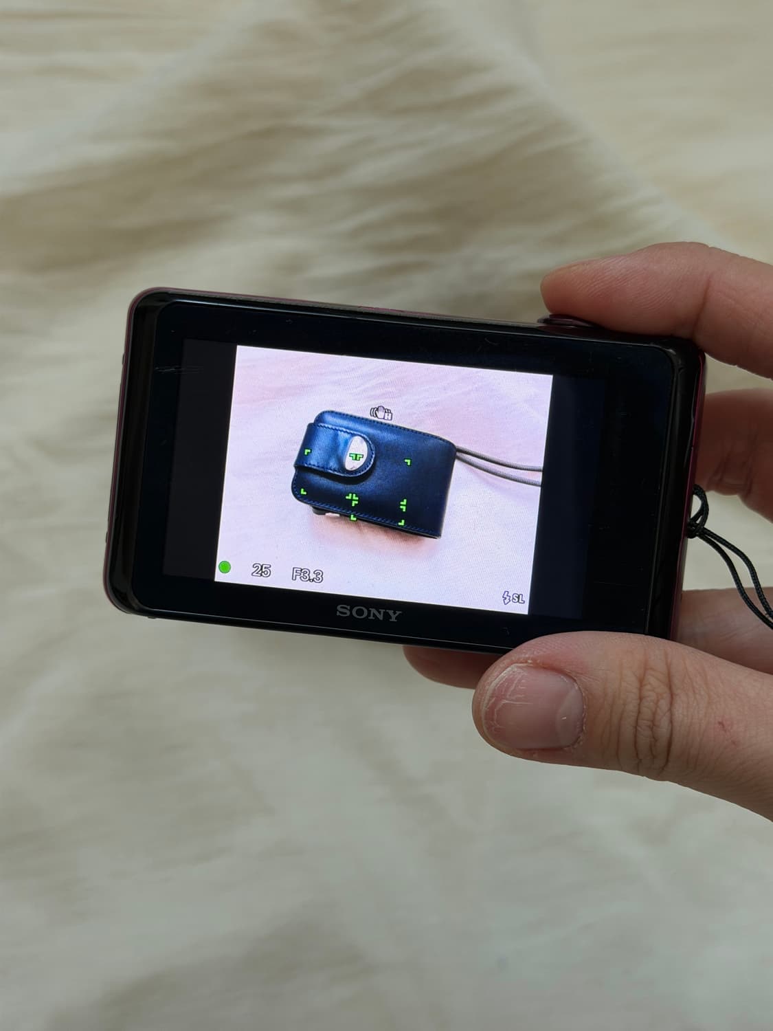 (결과물0) 소니 사이버샷 DSC-WX170 상품이미지4