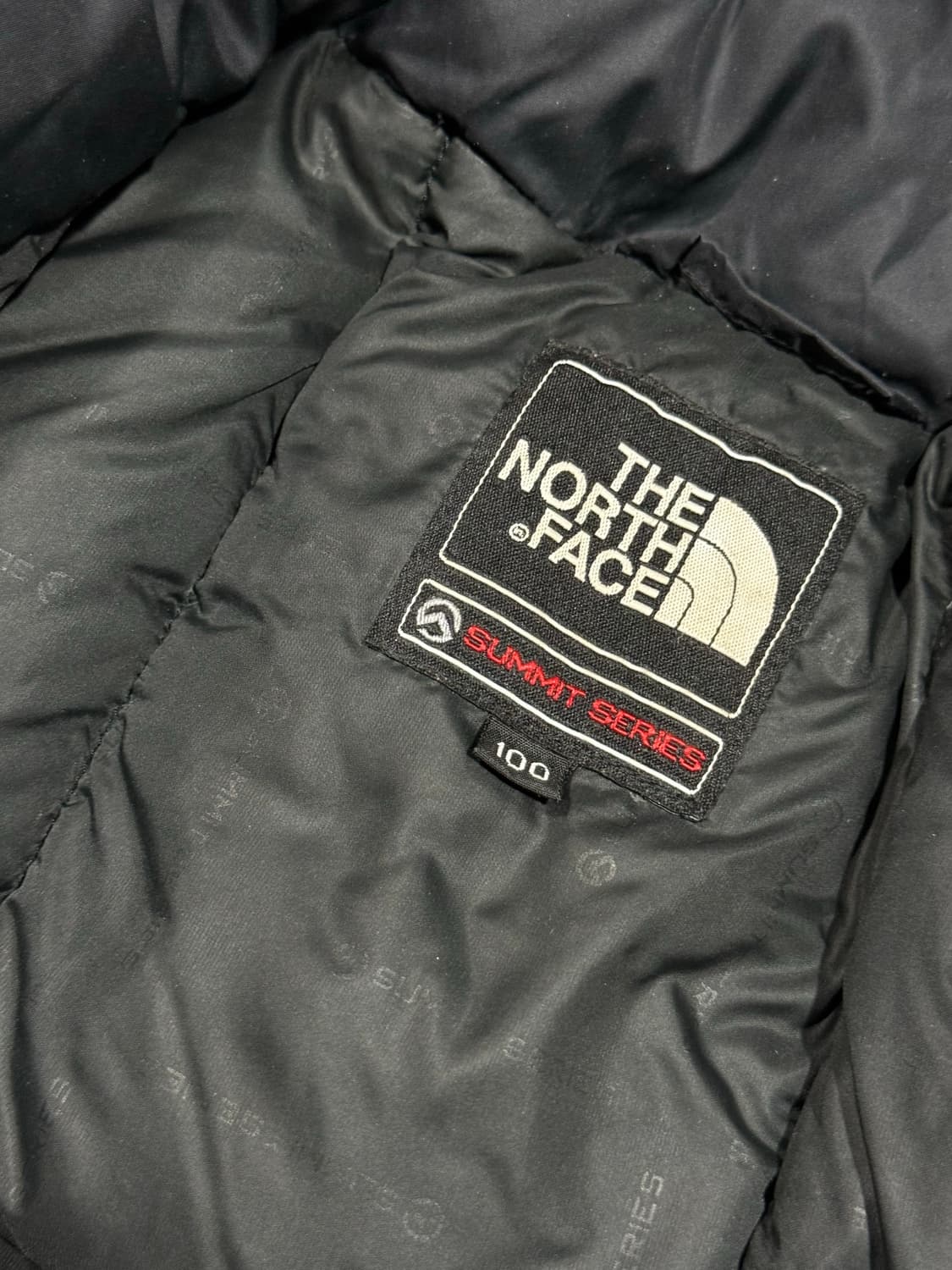 The North Face 노스페이스 서밋시리즈 800 구스다운 패딩 상품이미지3