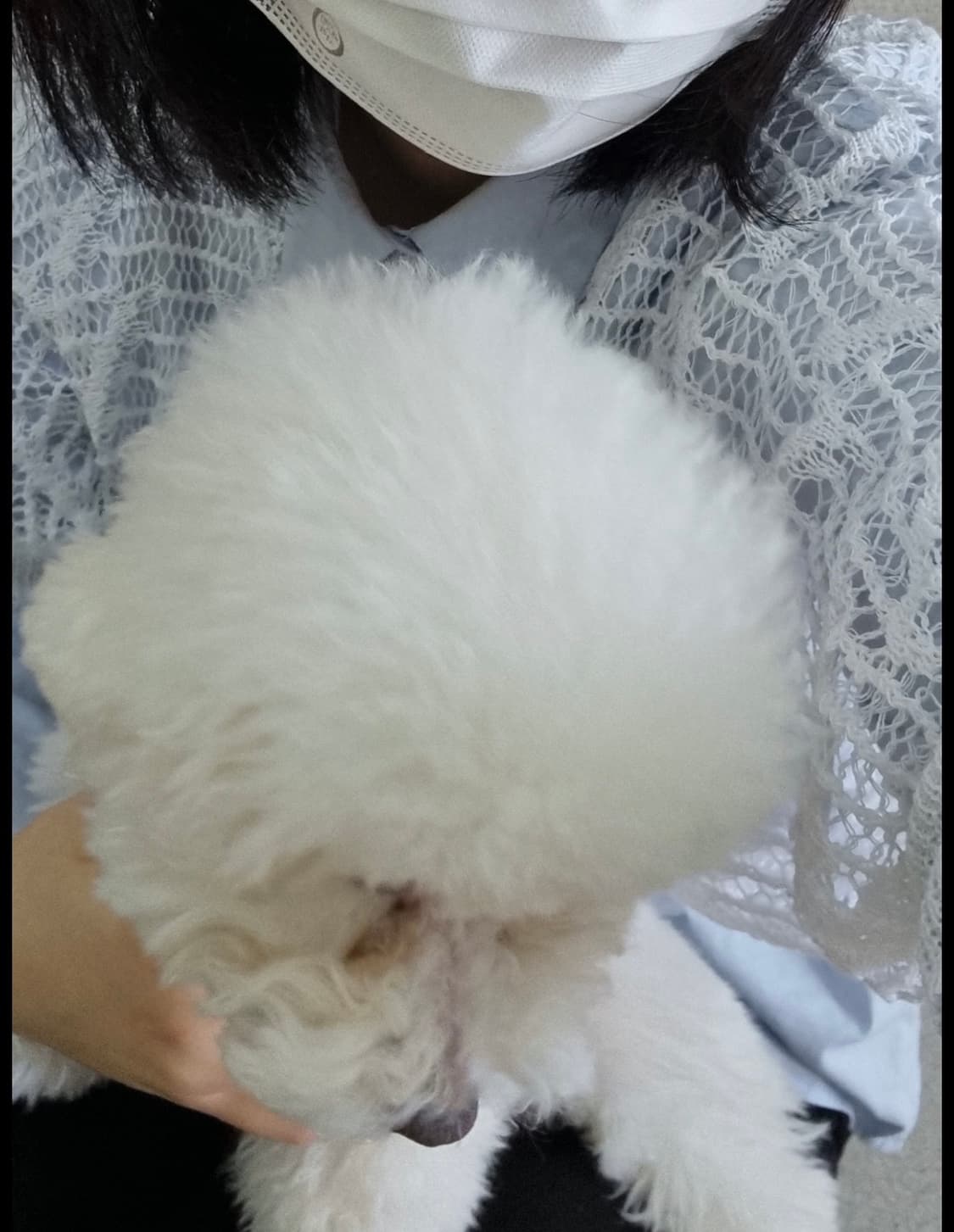 빈티지) 레이어드 가오리핏 화이트 그물 니트 상품이미지3