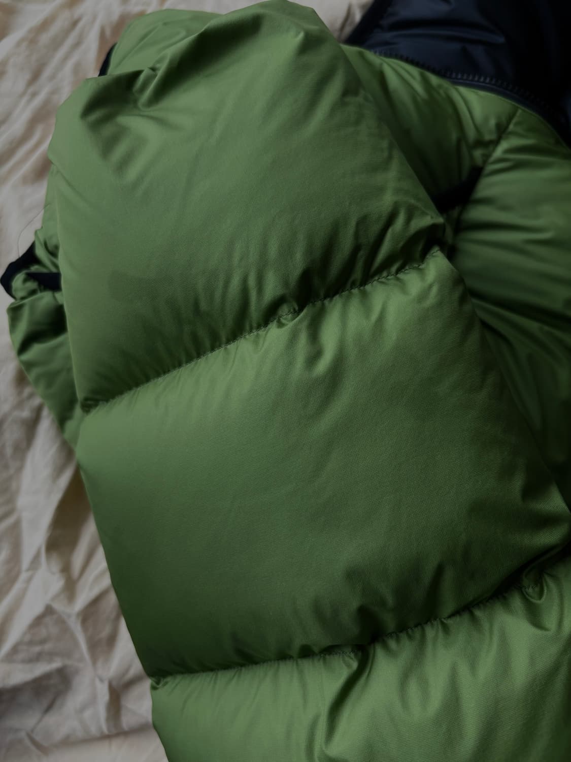 페더드프렌즈 헬리오스 리첸 XXL(2LX) 상품이미지8