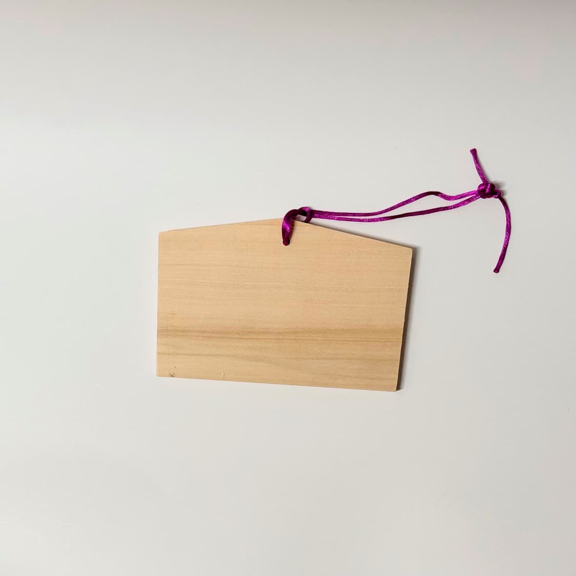 에반게리온 2025년 에마 아야나미 레이 상품이미지2