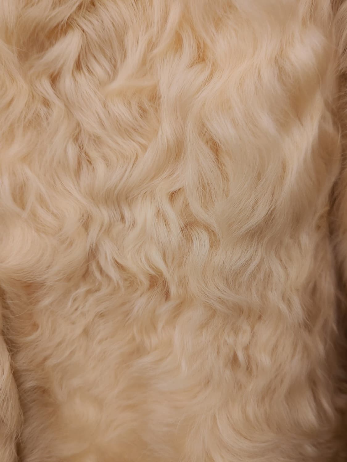 일본빈티지 리얼양털코트 상품이미지4