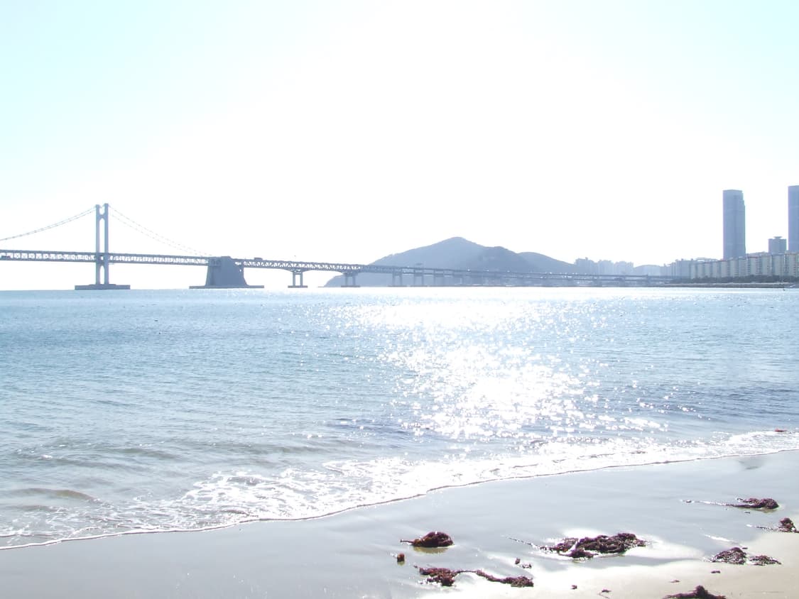 후지필름 파인픽스 디카 Fujifilm finepix S5600 작례O 상품이미지8