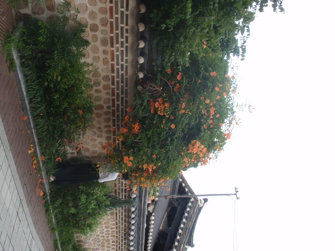 (작례 O) 올림푸스 뮤 1020 카메라  상품이미지5