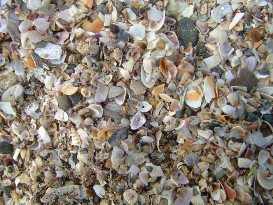 후지필름 파인픽스 FUJIFILM FinePix Z1 레드 상품이미지2