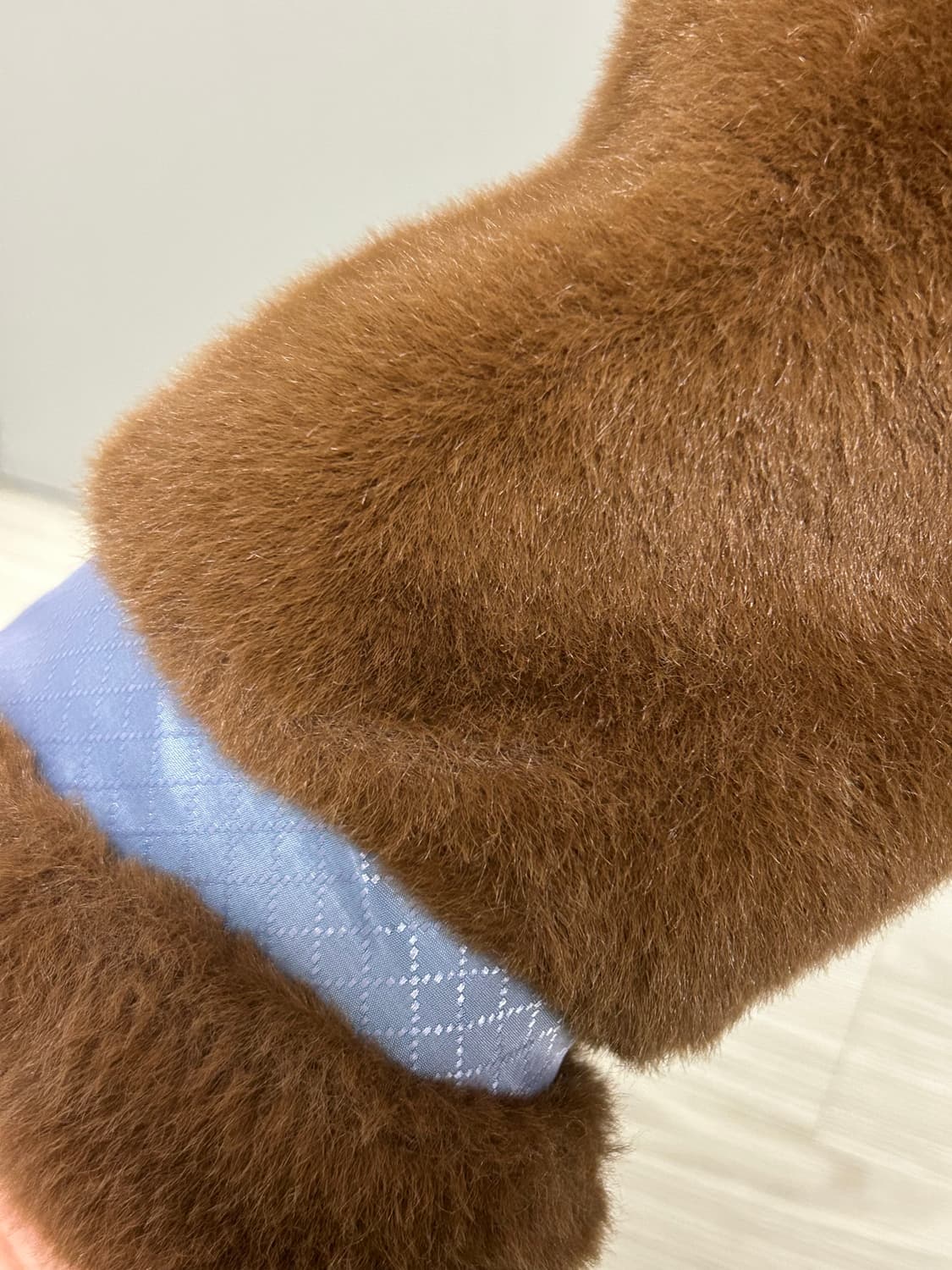 모데스트무드 테디베어 상품이미지3