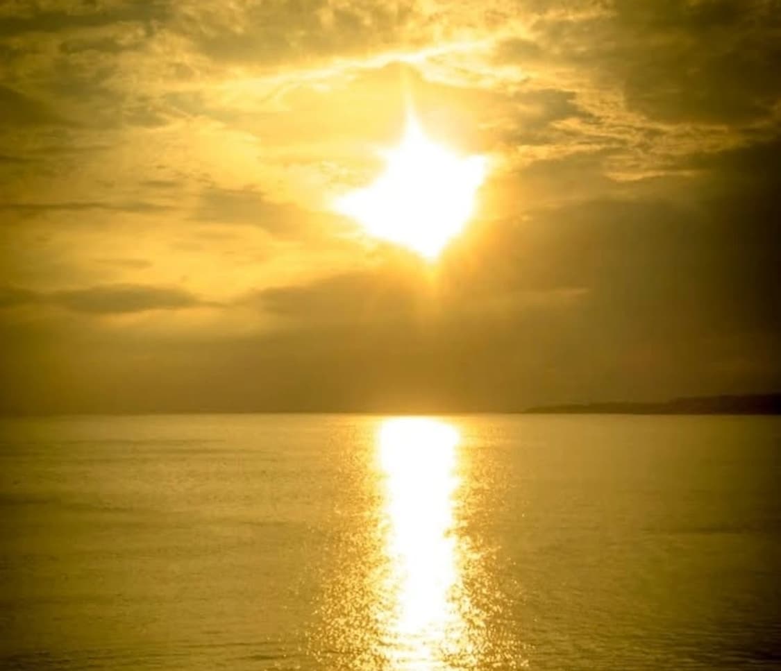 초미품💫풀박❣️ 후지필름 파인픽스 Z2 ✨ 샴페인골드 상품이미지10