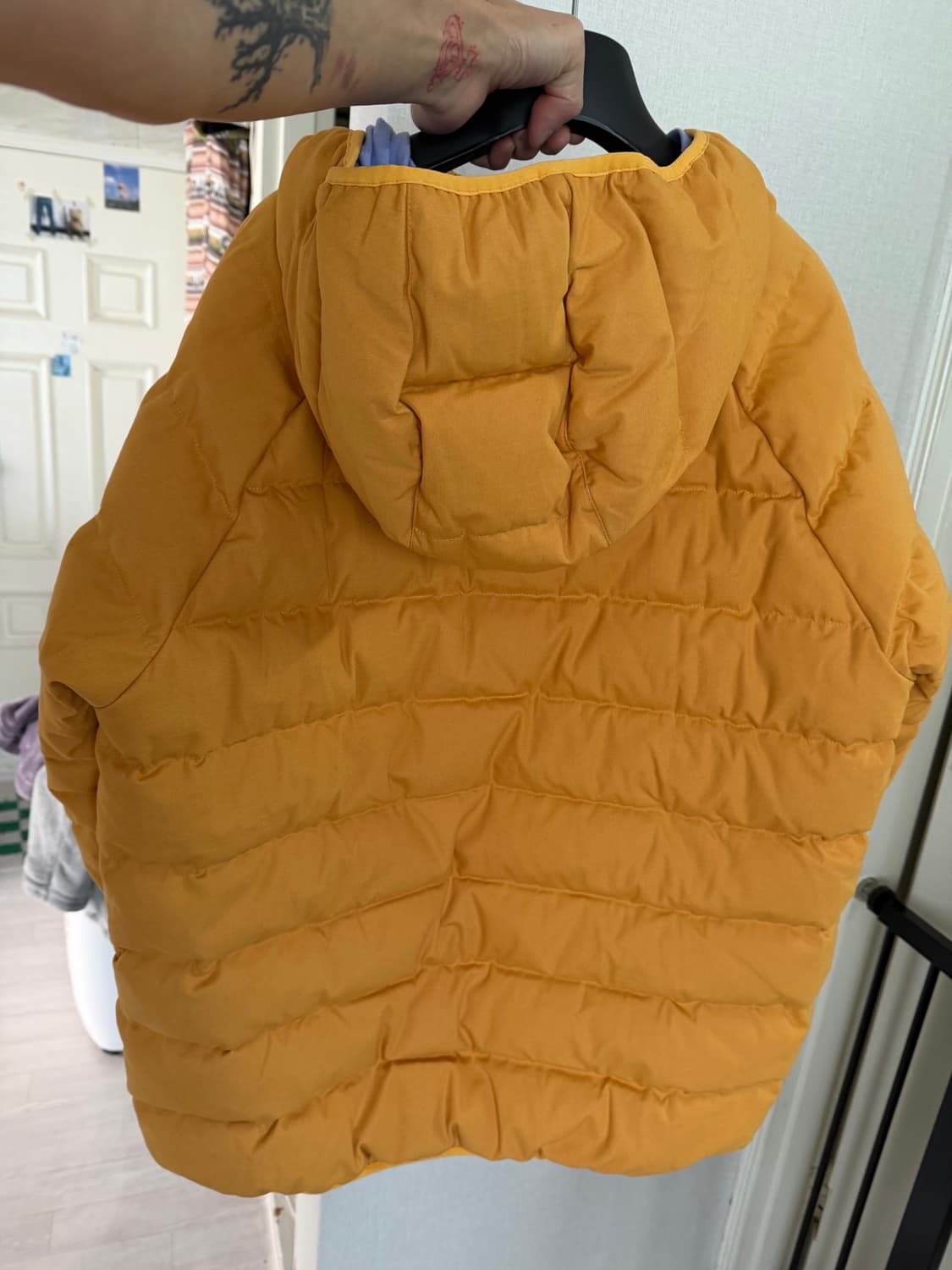 [L]파타고니아 50주년 코튼 다운 자켓 드라이드 망고 상품이미지5