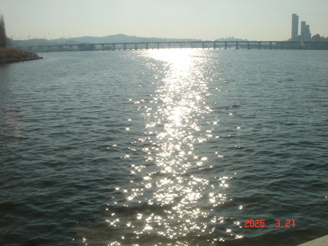 소니 사이버샷 T5 | 작례 O 상품이미지8