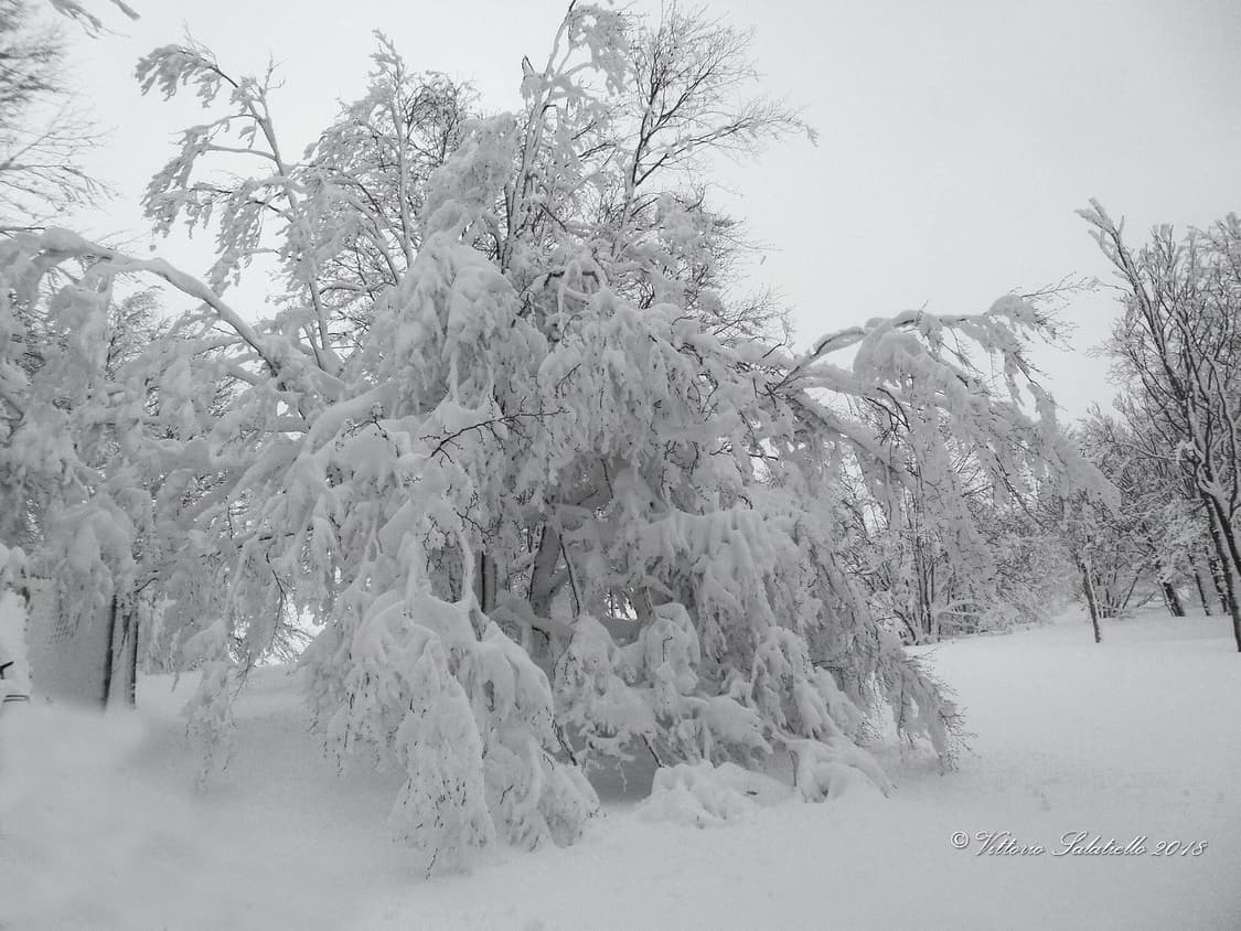 삼성 Samsung VLUU ES30 블랙  상품이미지4