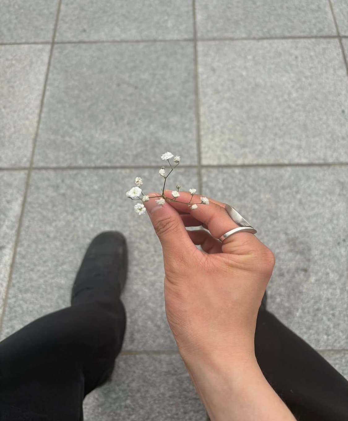 oeisl sheet 01 ring. 004 상품이미지2