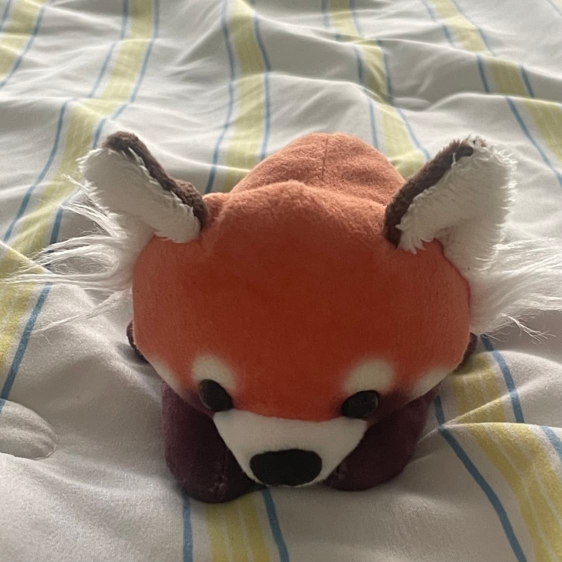 일본고전 레서판다 인형 상품이미지1