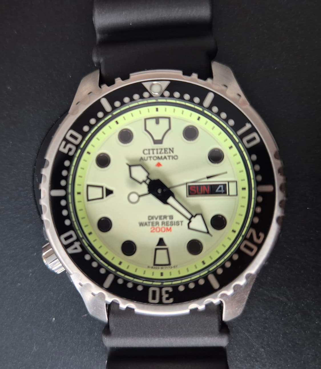 시티즌 복어 풀루메 상품이미지2