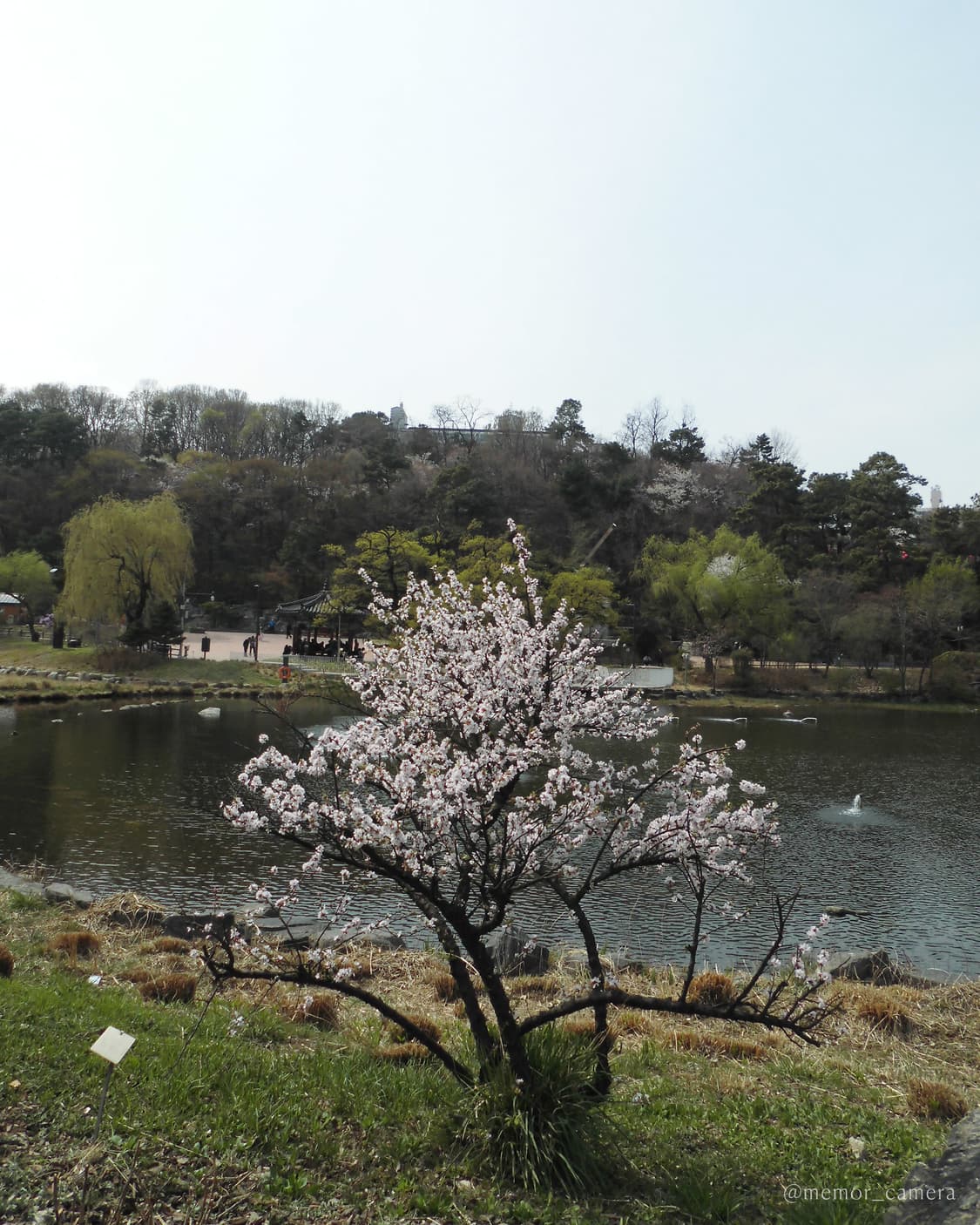 인물컷추천/소프트스킨기능✨CASIO EX-ZS35 카시오 디카 카메라 상품이미지9