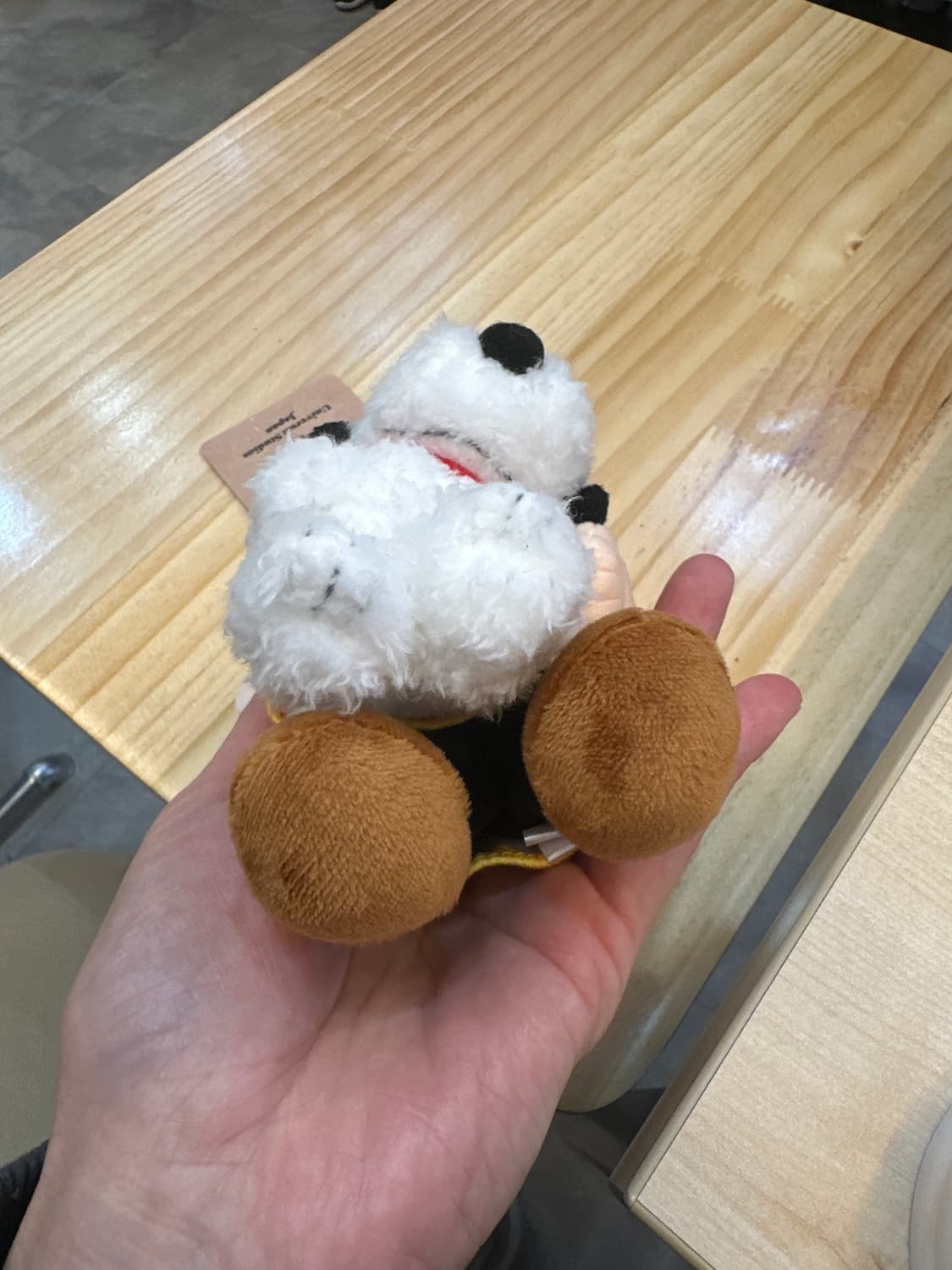 유니버셜 스튜디오 스누피 찰리브라운 인형 키링 정품 상품이미지4