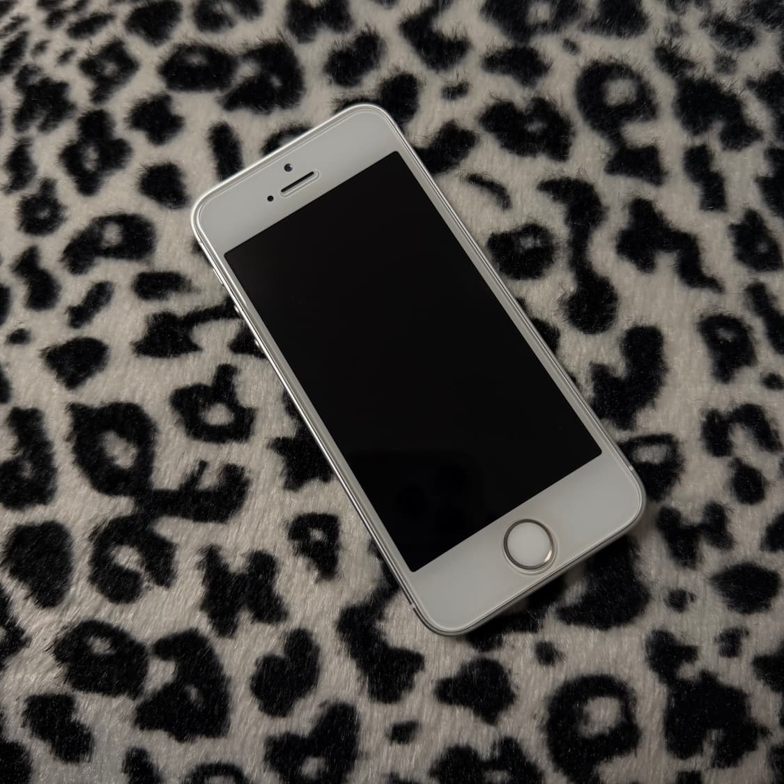 아이폰 SE 실버 상품이미지2