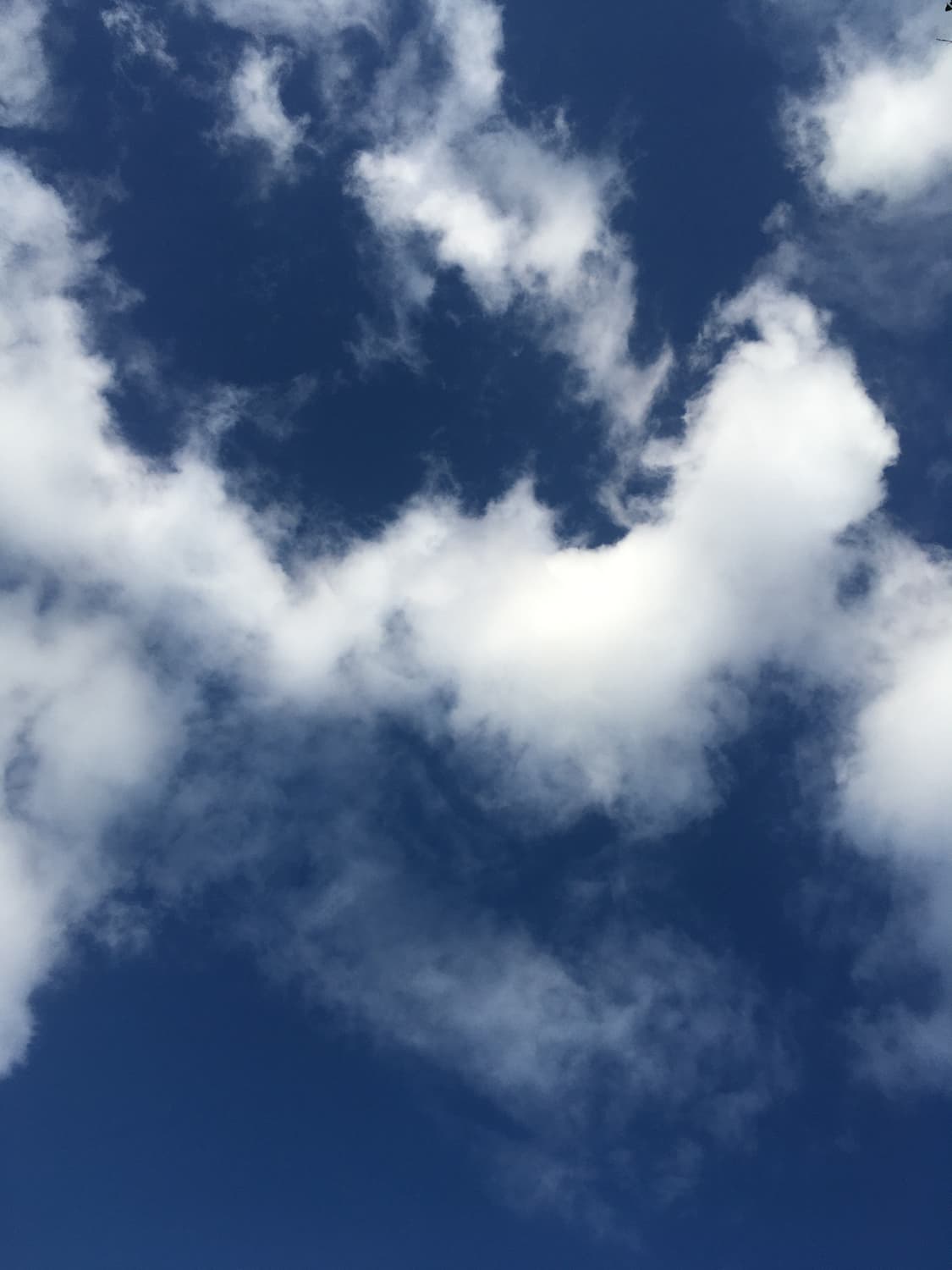 아이폰 se1 32기가 상품이미지9