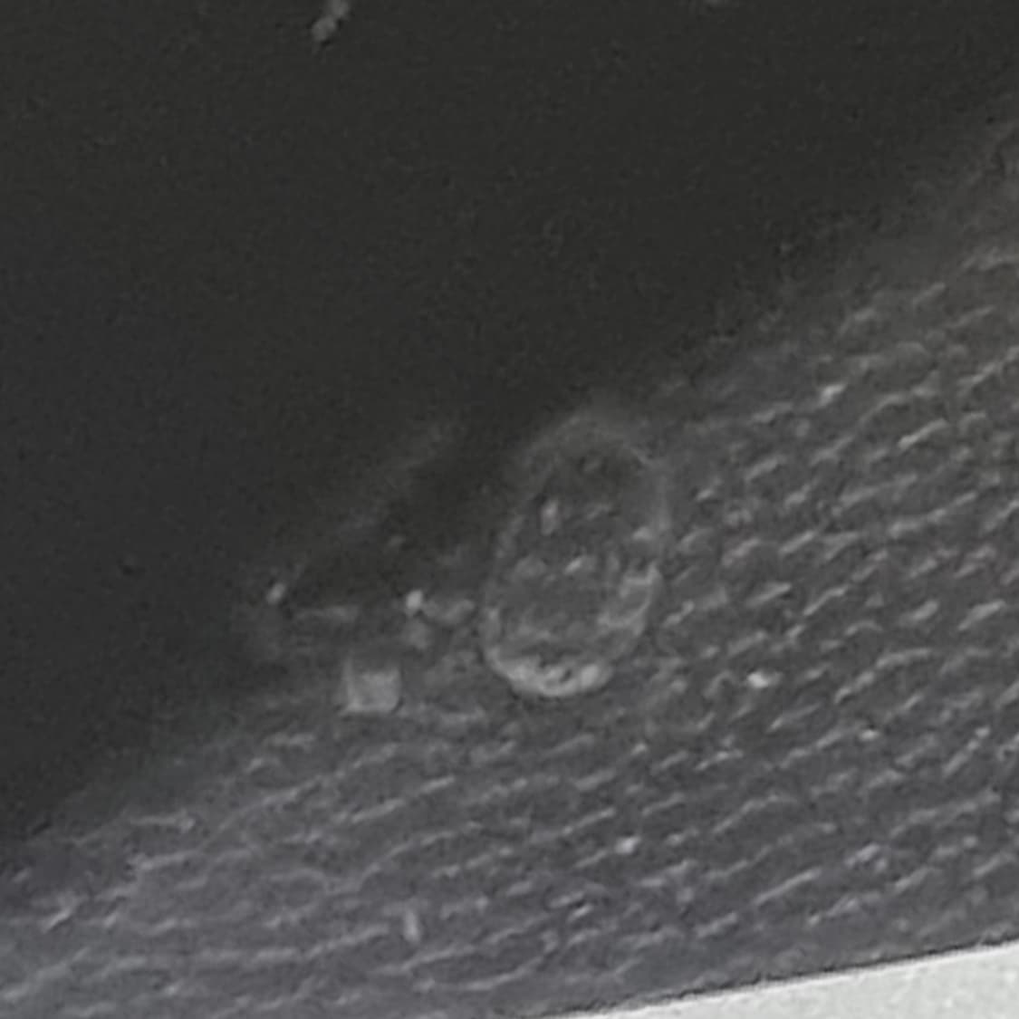 골든구스 스타터40 운동화255 상품이미지6