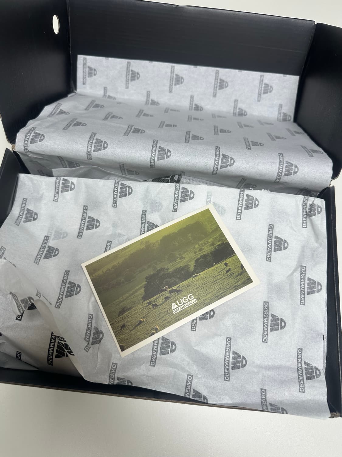 UGG 드림메리노 메리제인 슈즈 샌드 EU37 (235) 새상품 상품이미지8